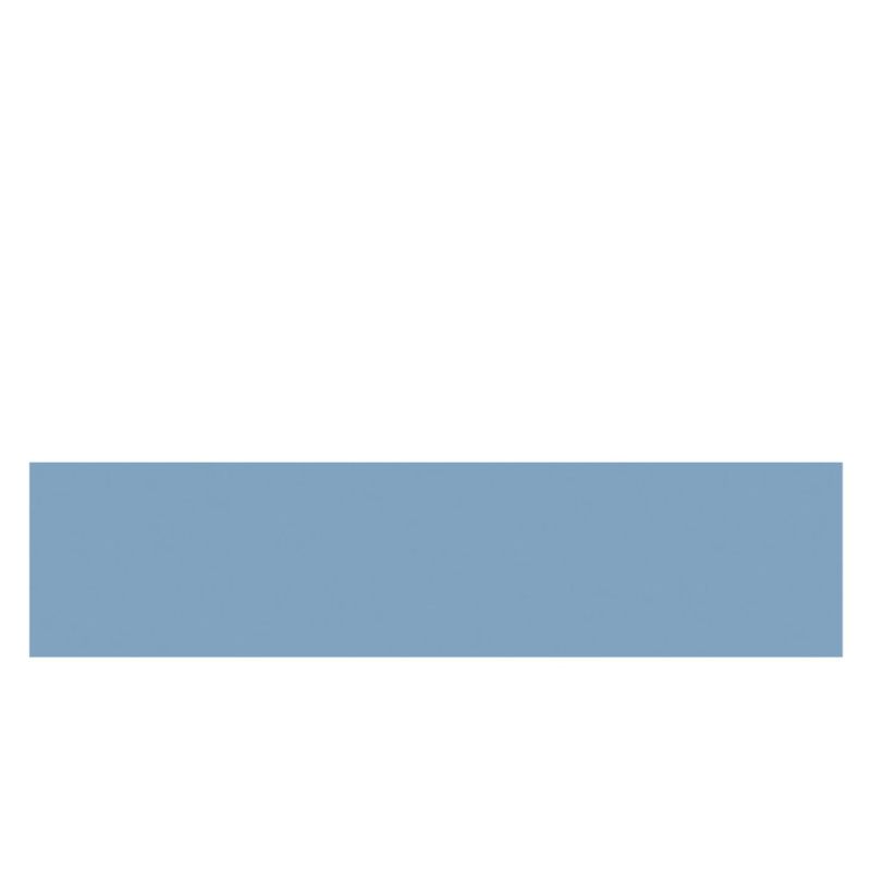 ABS BLEU SPECIAL 42/2 (KR 121) (PRO 801780)