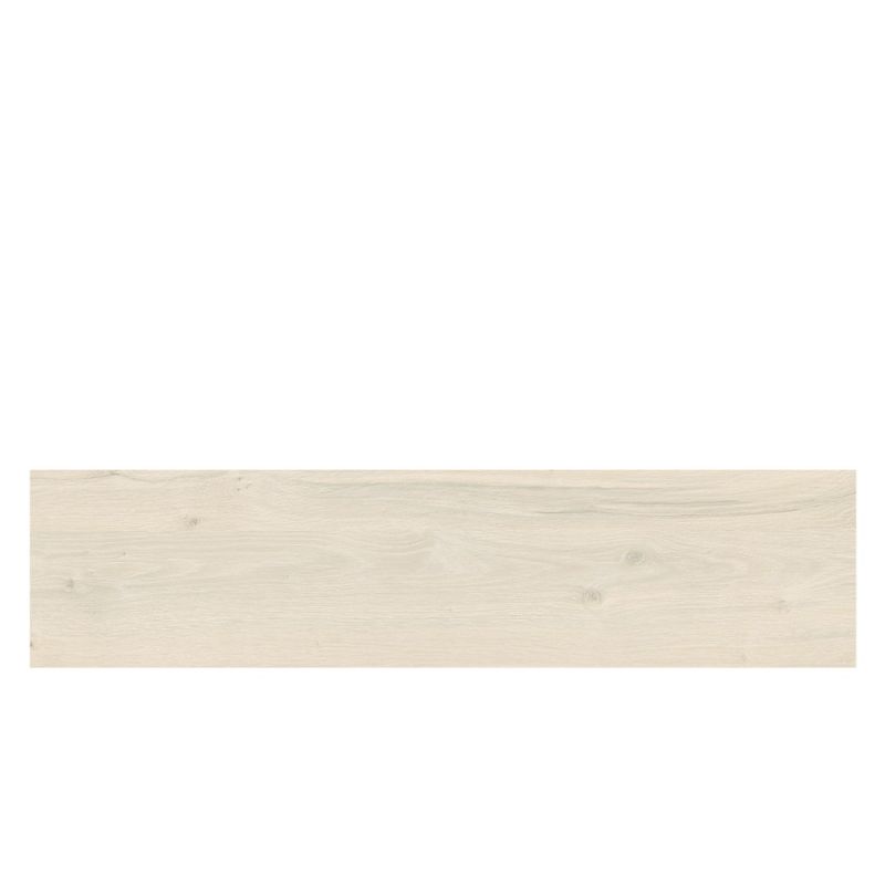 ABS STEJAR ALB COASTLAND 23/2 (KR K080) (RH 3554W)