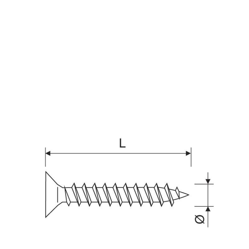 Holsurub 4.0 x 25 mm