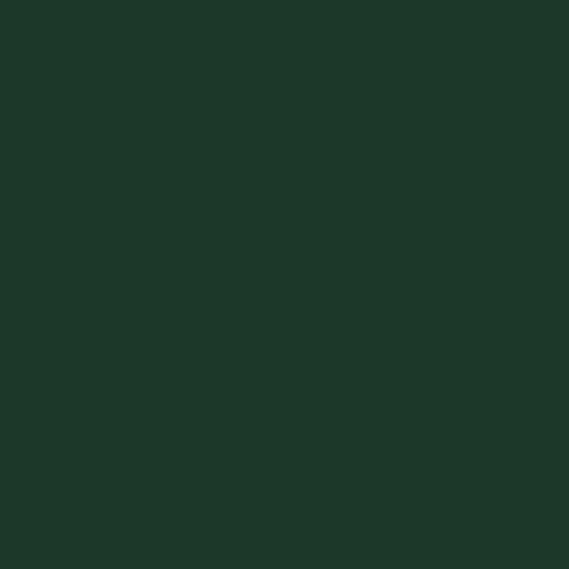 Pal melaminat Egger verde brad U699 ST9 18 mm (2.80 X 2.07)