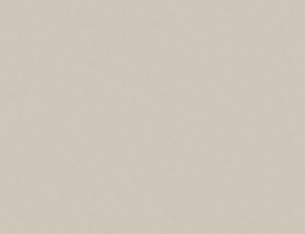 PAL melaminat Kastamonu argintiu D301 PS11 18mm (2.80 X 2.07)