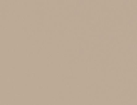 Panou MDF Kastamonu capucino mat EVO P008 (2.80 x 1.22)