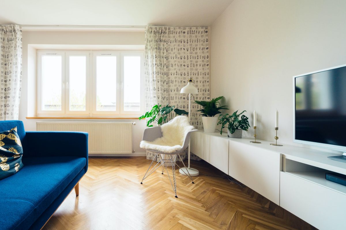 2. Amenajare apartament mic_cum să organizezi mobila din interiorul unui apartament mic de bloc_mobila, canapea albastra, plante 3